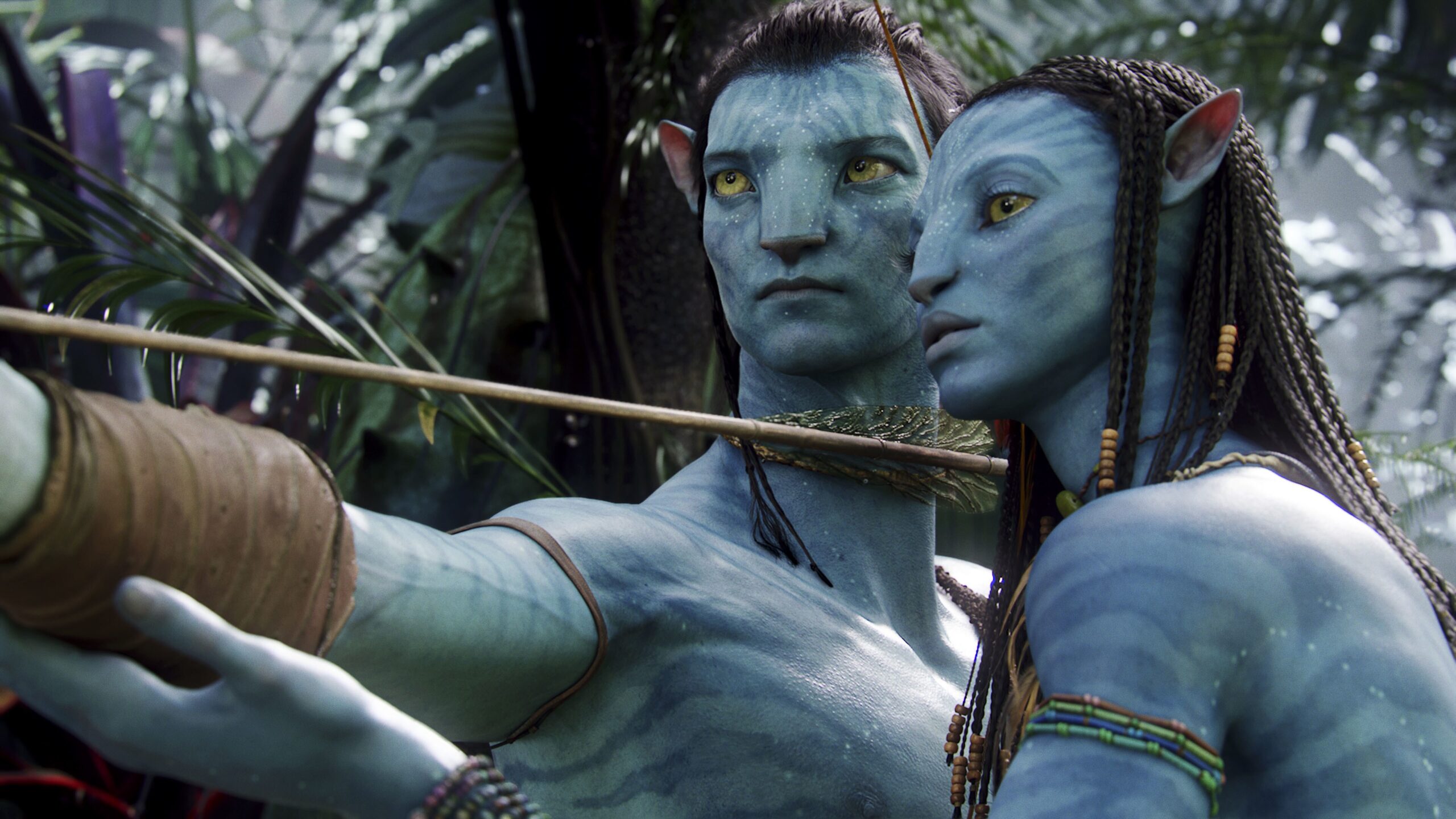 Curiosidades sobre os Filmes Avatar